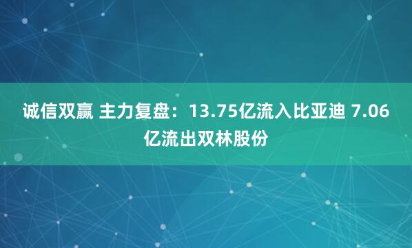 诚信双赢 主力复盘：13.75亿流入比亚迪 7.06亿流出双林股份