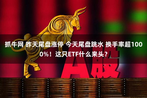 抓牛网 昨天尾盘涨停 今天尾盘跳水 换手率超1000%！这只ETF什么来头？