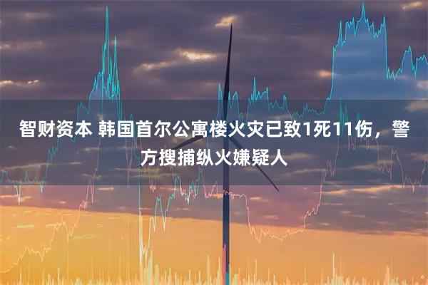 智财资本 韩国首尔公寓楼火灾已致1死11伤，警方搜捕纵火嫌疑人