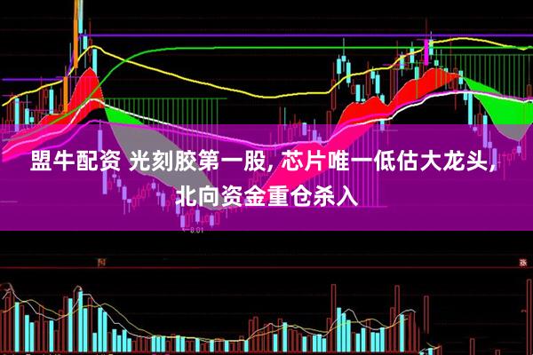 盟牛配资 光刻胶第一股, 芯片唯一低估大龙头, 北向资金重仓杀入