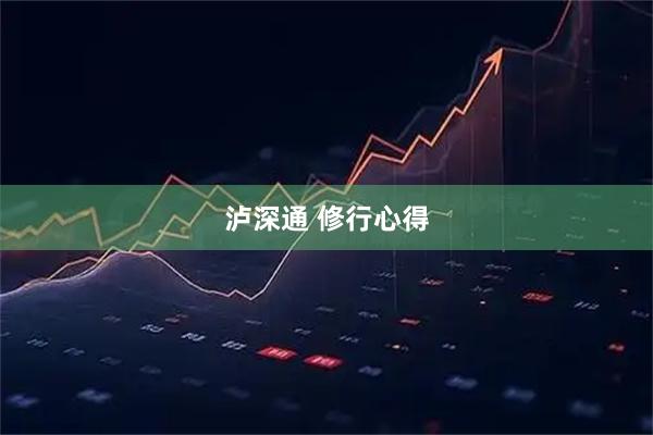 泸深通 修行心得