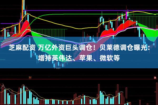 芝麻配资 万亿外资巨头调仓！贝莱德调仓曝光：增持英伟达、苹果、微软等